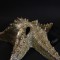 Ексклюзивна декоративна венеціанська маска "STELLA MARINA"